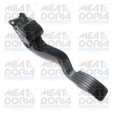Accelerator Pedal Unit